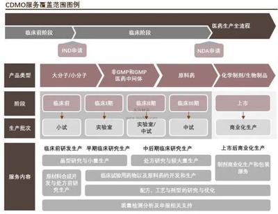 乘势站上风口赛道跑出加速度,细数中国10家本土CDMO领军企业 | 前线